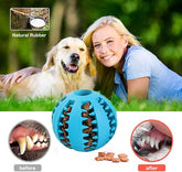 Dog Chew Ball Toy
