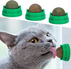 Catnip ball