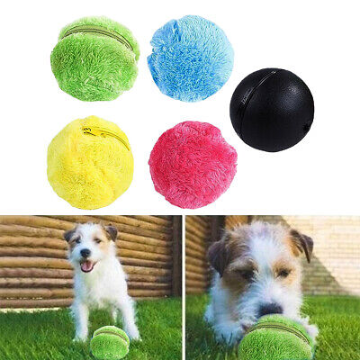 Magic Roller Ball