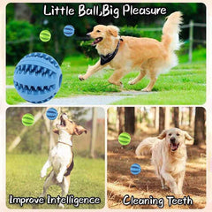 Dog Chew Ball Toy