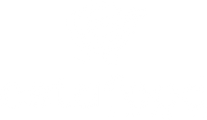 Estafeed